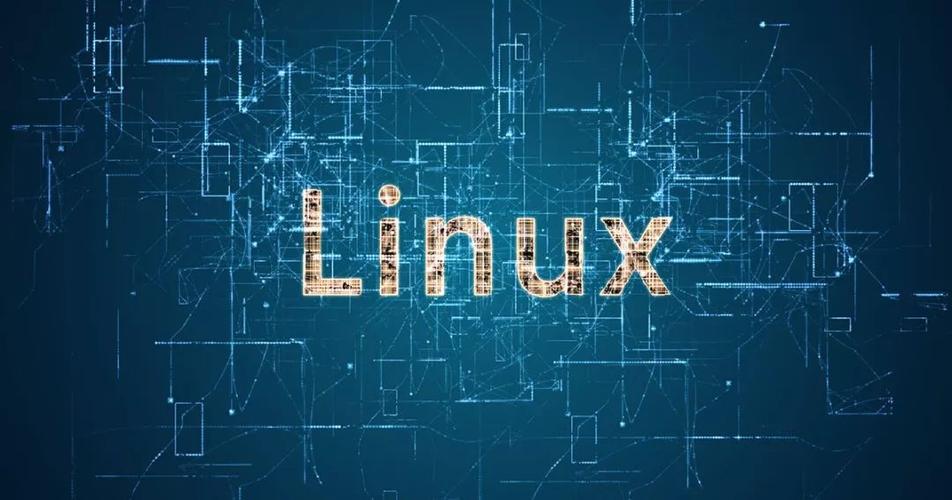 linux之用户权限相关命令