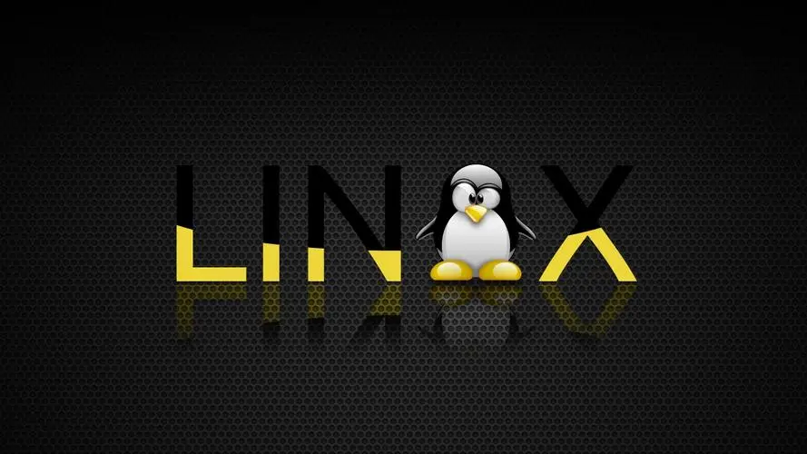 linux之文件和目录常用命令